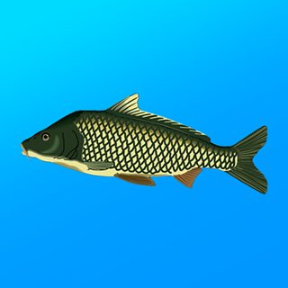 Обложка игры «Реальная рыбалка»